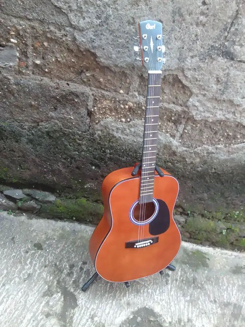 Gitar akustik cort