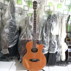 Bass akustik elektrik ARIA ELECORD FEB SPL-N original