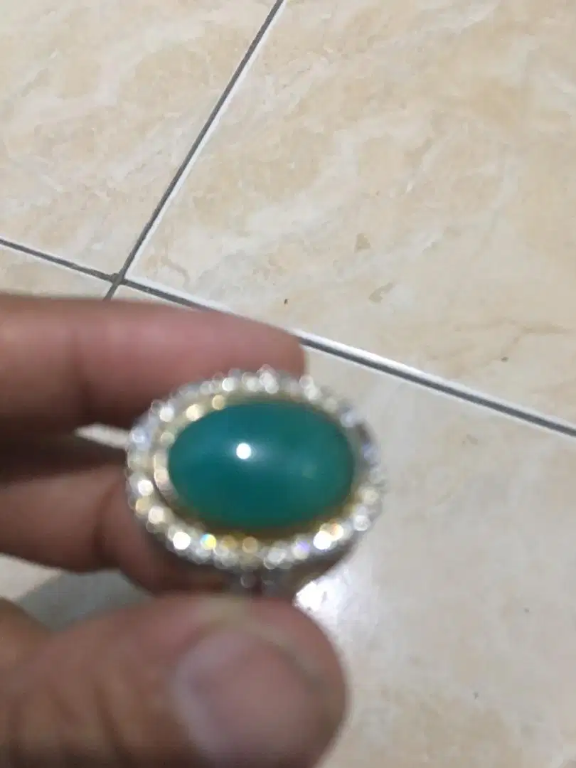 Bacan palamea glosy