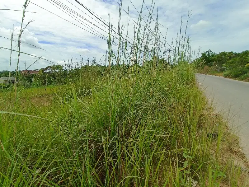 Dijual Tanah di Jl Lingkar Danau Buatan Rumbai