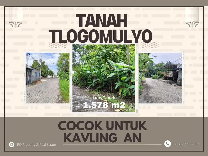 Tanah Tlogomulyo Cocok Untuk Cluster Atau Kavlingan