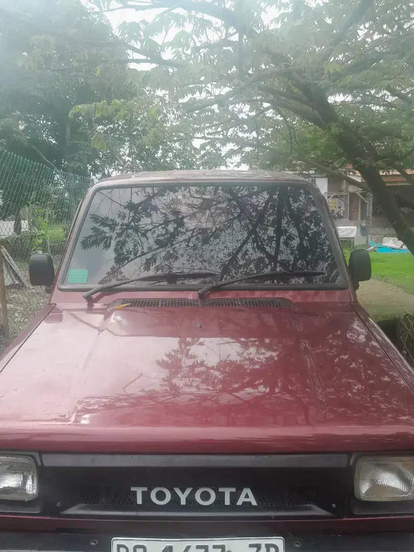 Kijang jantan merah maron