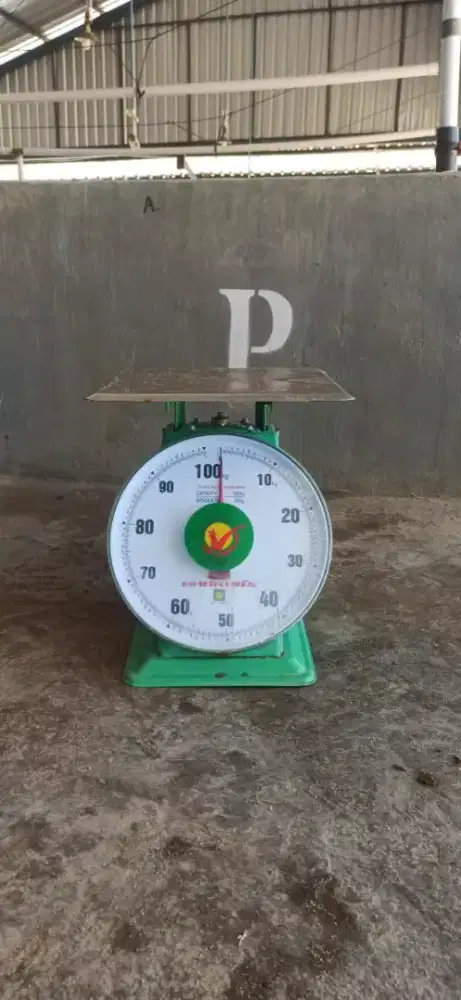 Timbangan jarum 100kg  duduk
