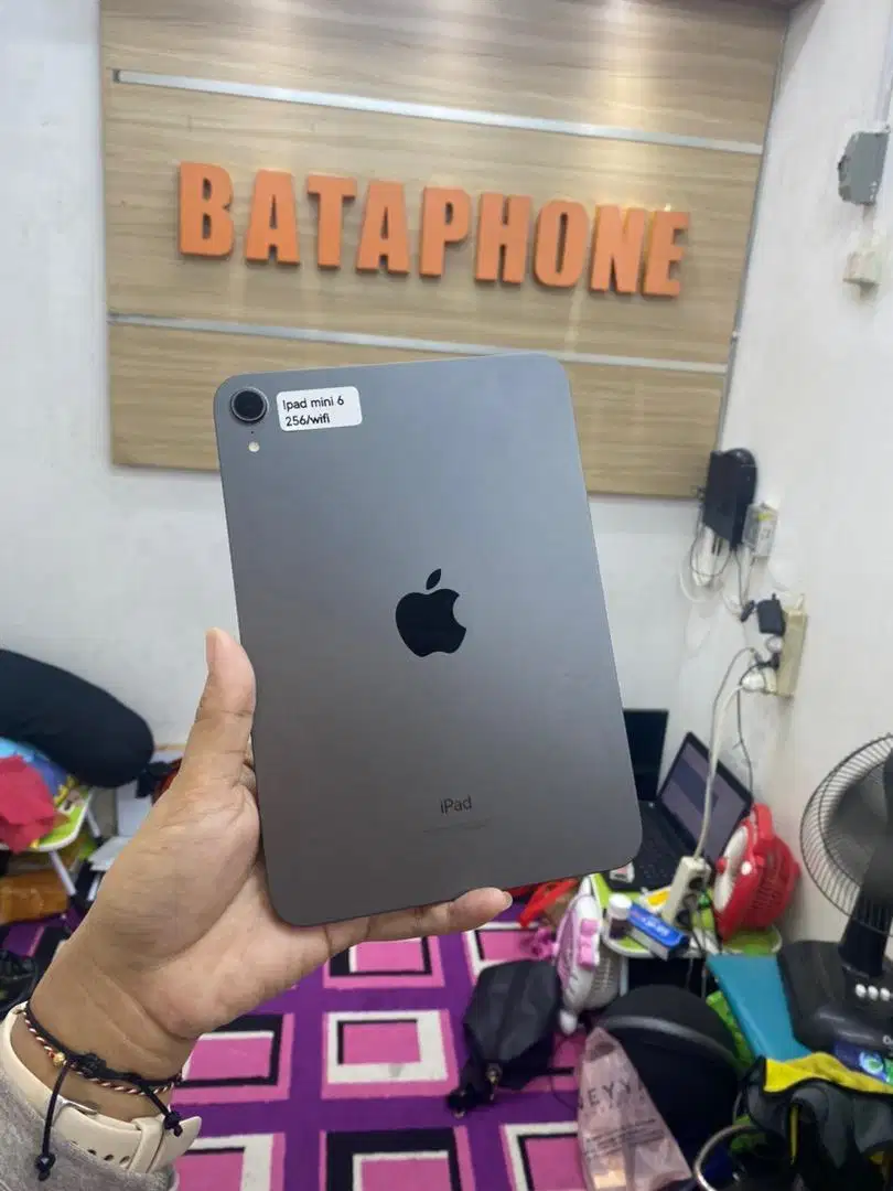 ipad mini 256 gb