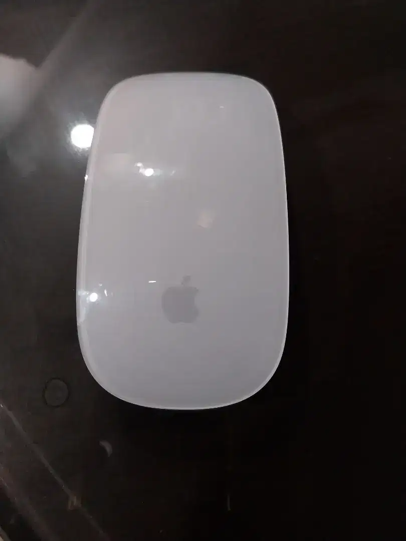 Apple magic mouse 2