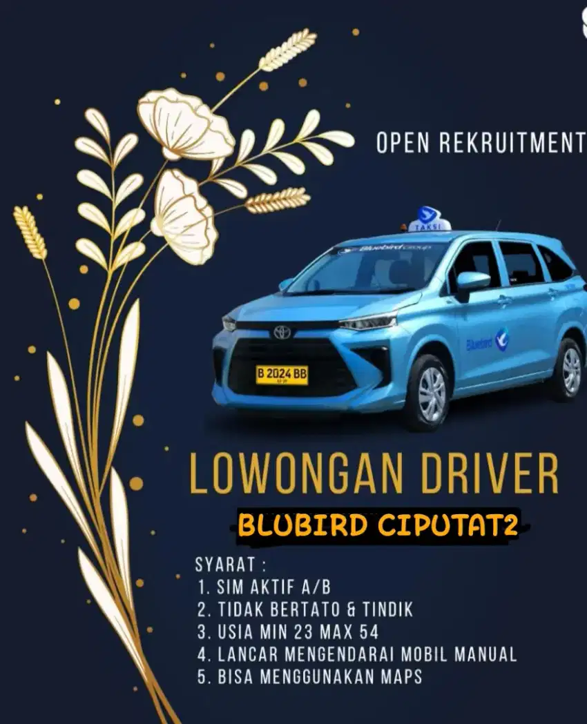 sopir supir / driver taxi bluebird