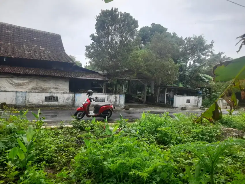 TANAH MURAH DIBOLONG KARANGANYAR