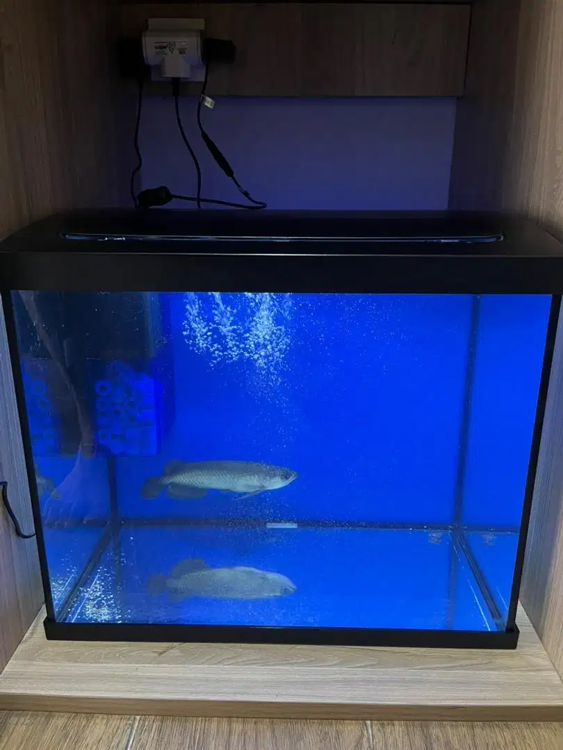 Dijual Aquarium Fishland 45 Liter