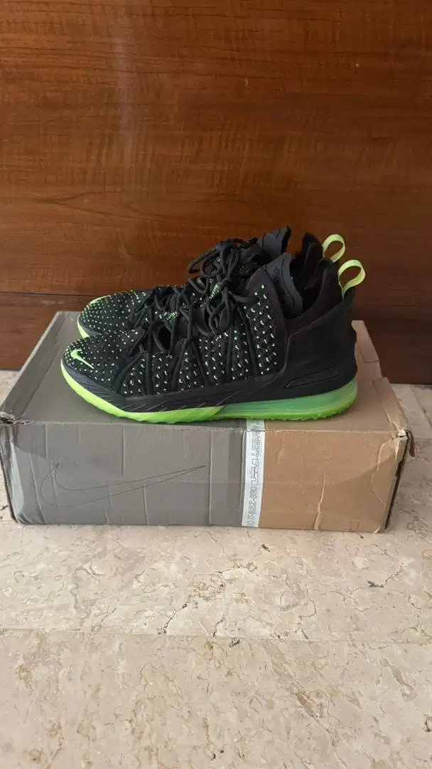 Lebron 18 Dunkman