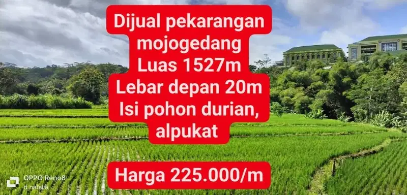 Dijual tanah pekarangan durian dan alpukat di mojogedang Karanganyar