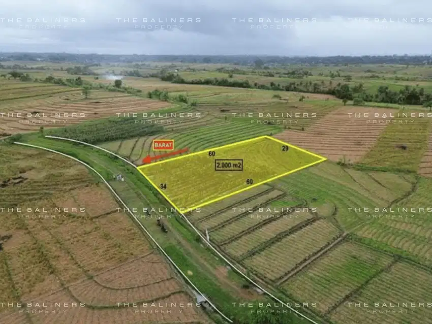 SPACIOUS 20 ARE FREEHOLD LAND IN BERABAN, TABANAN