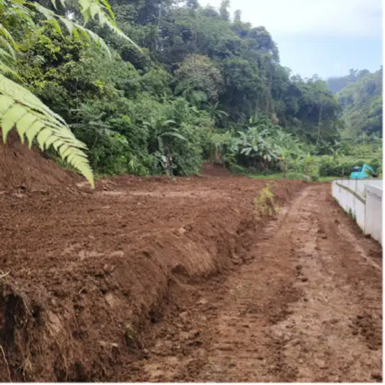 Tanah shm murah megamendung puncak bogor