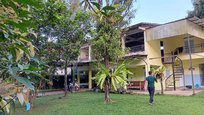 Tanah ada rumah di cijeruk terdapat banyak pohon berbuah produktif