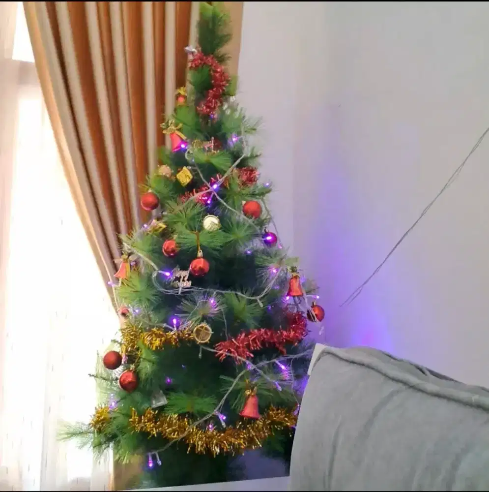 Dijual Murah Pohon Natal