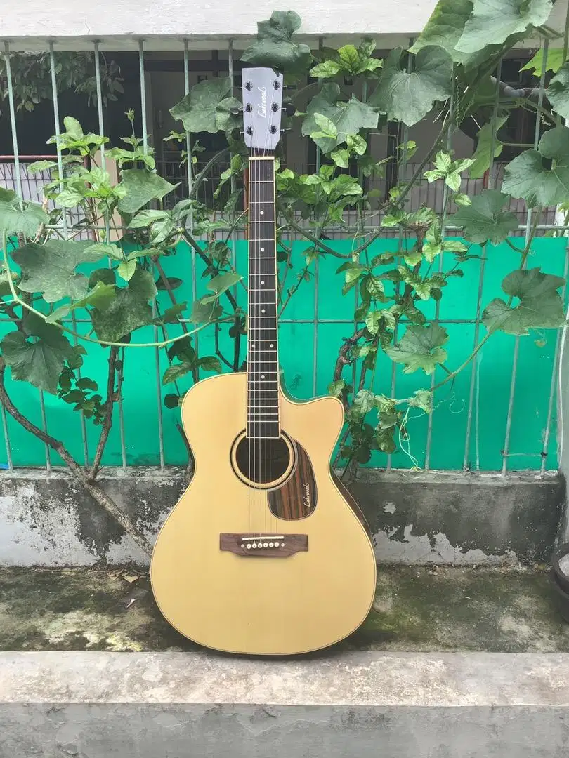 gitar lakewood akustik elektronik