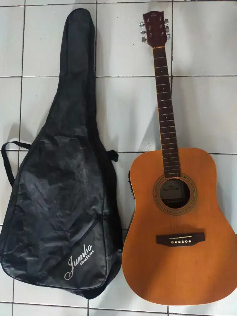 Gitar akustik elektrik string merk Anderson AF12N asli original