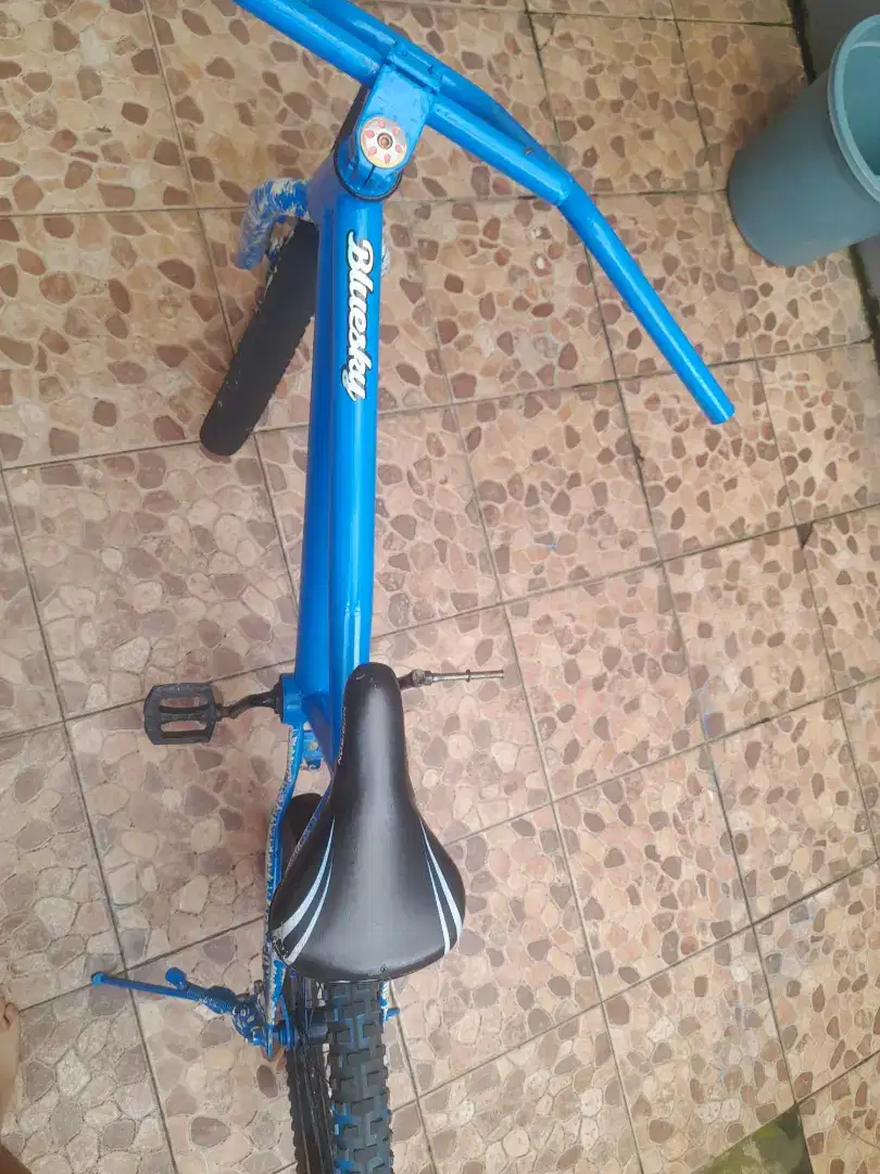 Sepeda bmx morisson ukuran 20 torpedo