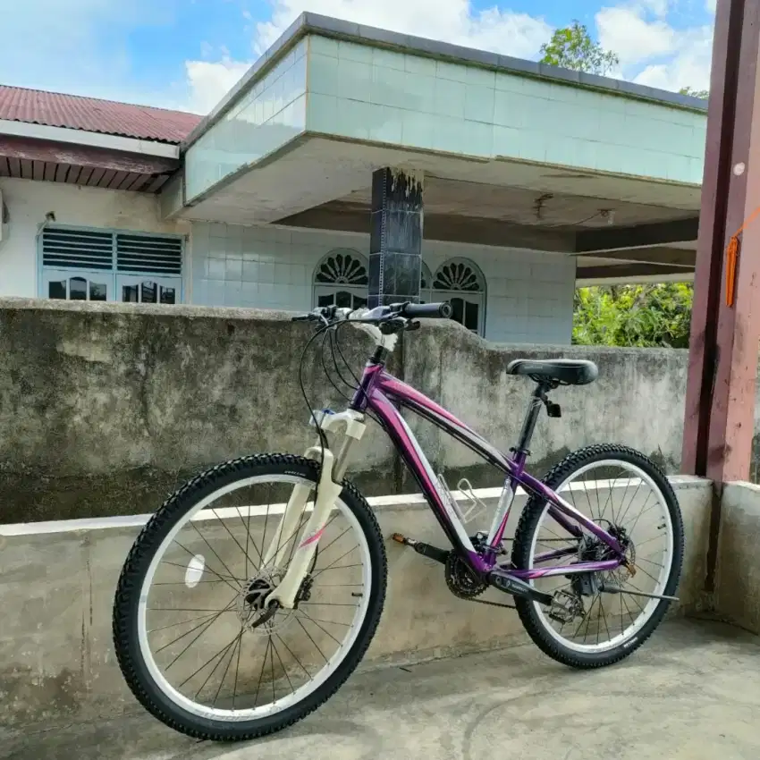 Dijual Sepeda MTB Polygon Cleo 4.0 ladiss