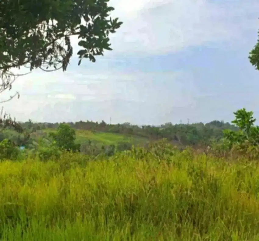 Jasa Potong Rumput dan Potong Pohon