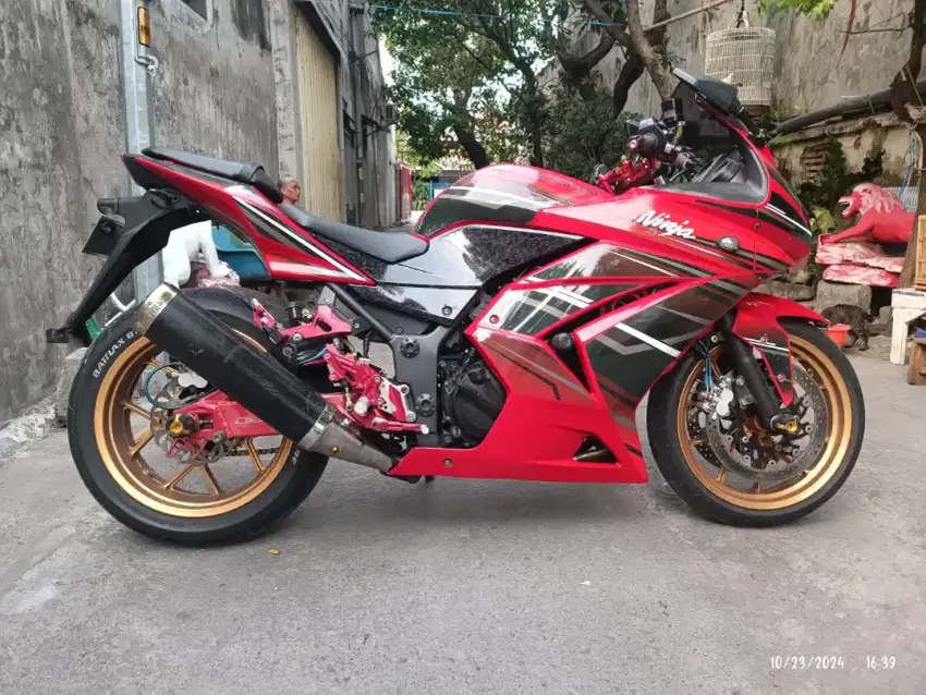 Kawasaki Ninja 250 Karbu 2010