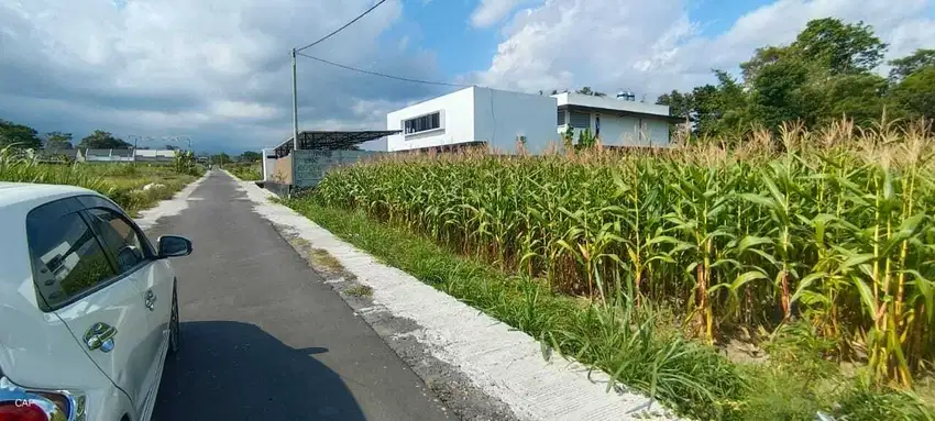 Tanah view sawah dan merapi