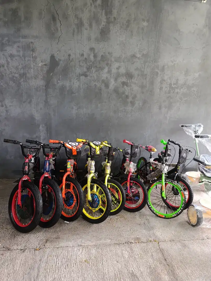 Sepeda Anak BMX