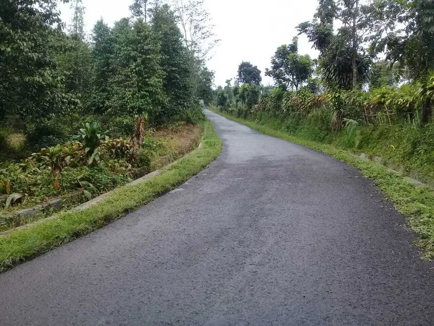 Di Jual Kebun Murah,Pinggir jln utama