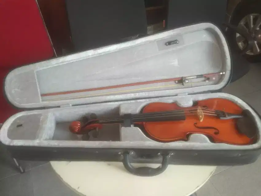 Biola/violin stainer 3/4