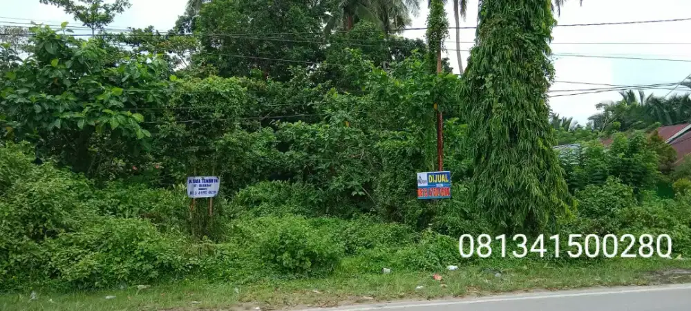 Tanah di jual murah di jl poros bandara haluoleo