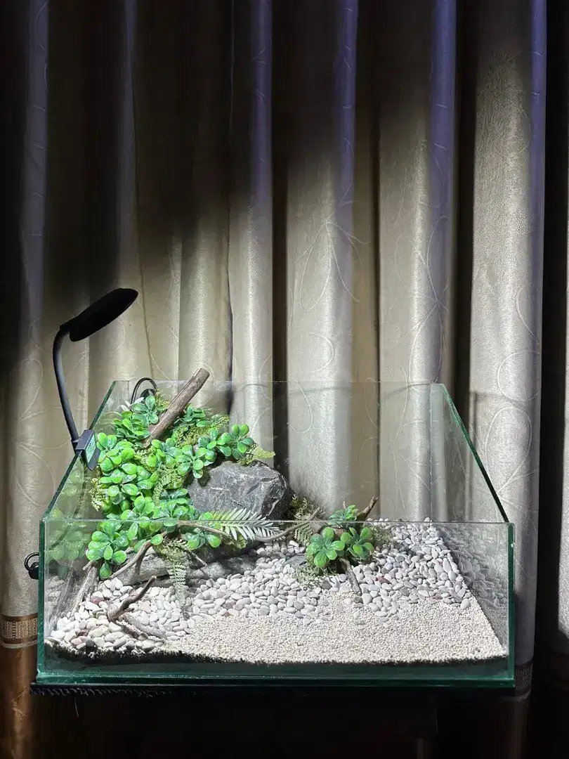 Aquascape paludarium , hiasan rumah, pajangan rumah