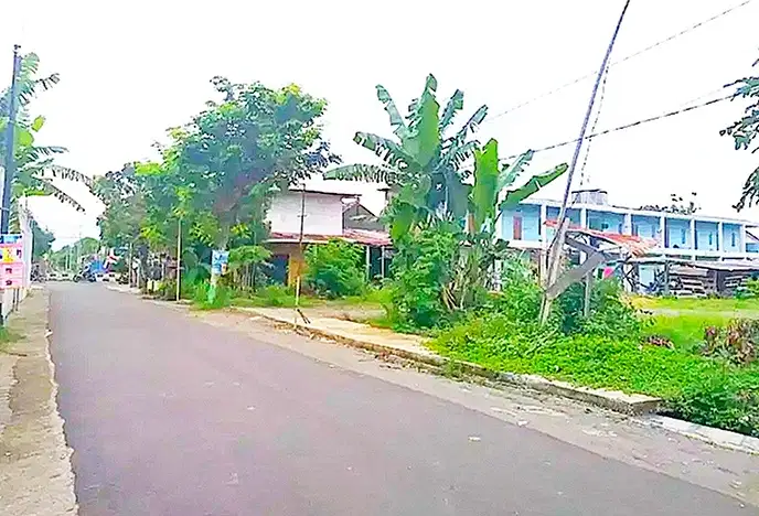 Tanah 6000 Meter Shm Pekarangan Jogja