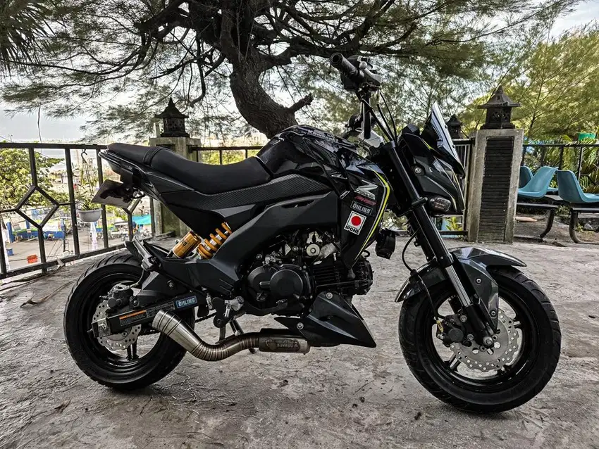 Kawasaki Z125 pro 2018