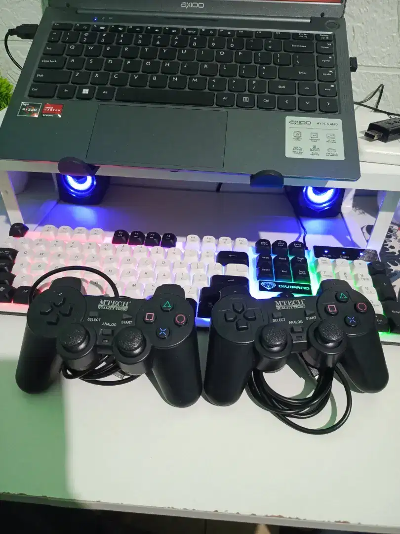 GAMEPAD USB DOUBLE