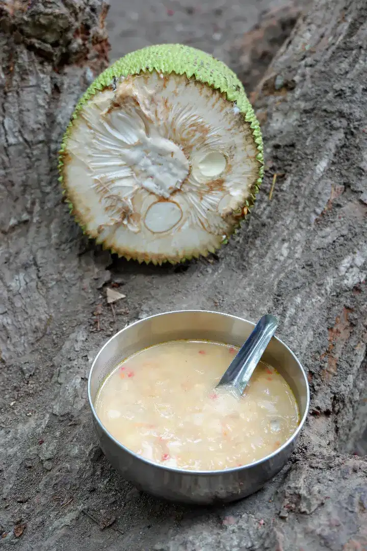 Buah nangkadak dan nangka madu