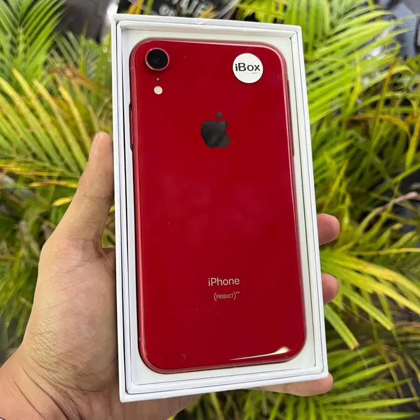 iPhone Xr 128Gb ex Resmi iBox Fullset