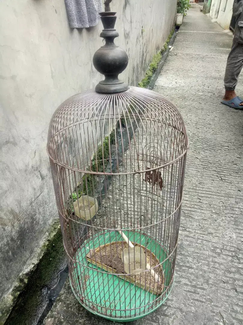 KANDANG BURUNG BESI CAKEP