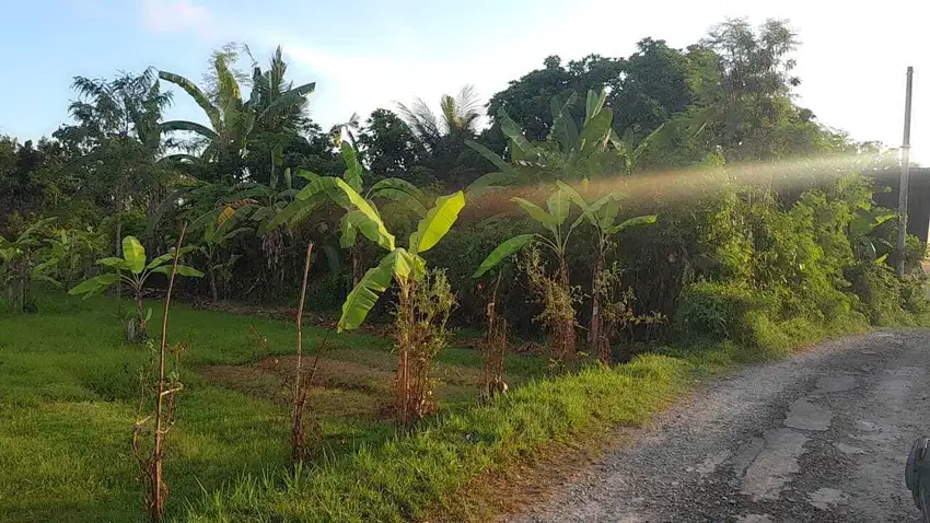 TANAH 20 ARE DI PANTAI NYANYI