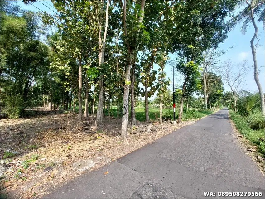 Kavling SHM P di Pakem 150 meter Jl. Degolan: View Hamparan Sawah