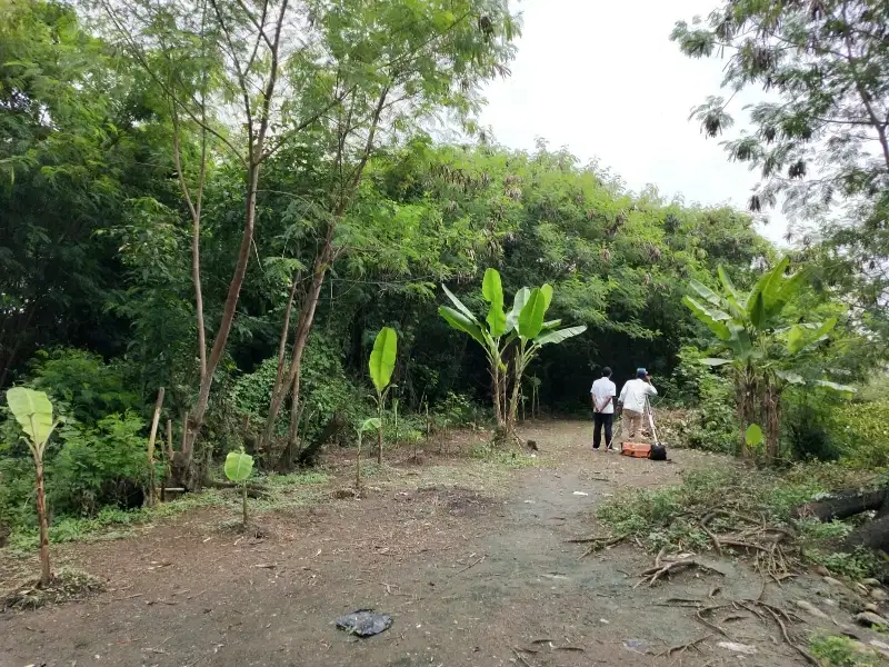 DISEWAKAN KAVLING ROROTAN CAKUNG (MC)