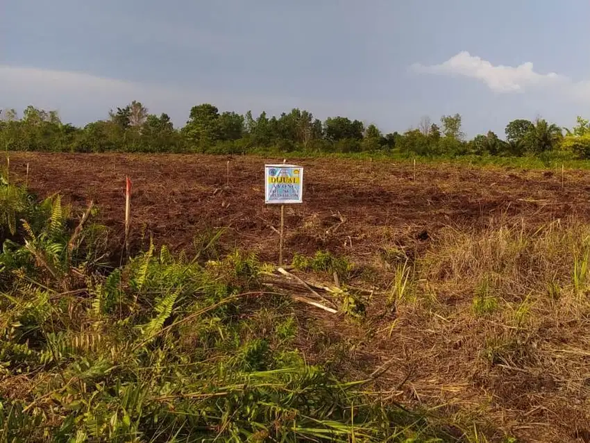 DIJUAL SEBIDANG TANAH LOKASI DI JL, SIDORUKUN UJUNG - PEKANBARU