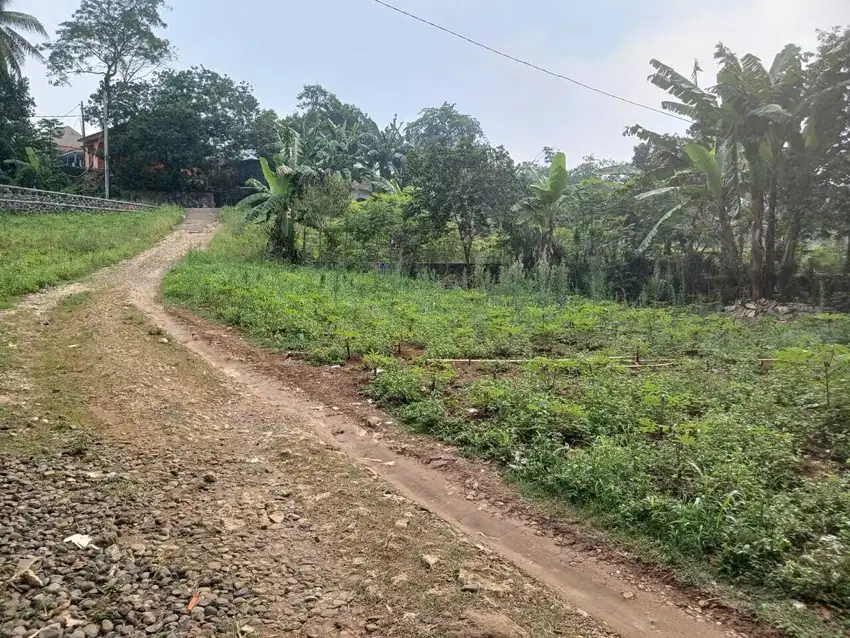 Tanah 10 Menit Kampus IPB Dramaga Bunga 0%