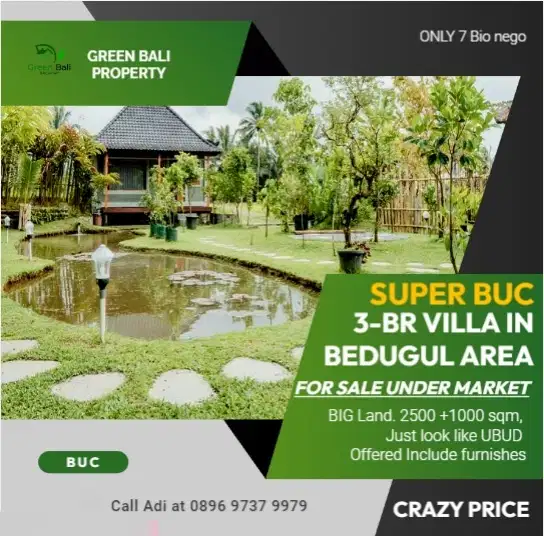 Family villa with big land for sale near Bedugul and jatiluwih area