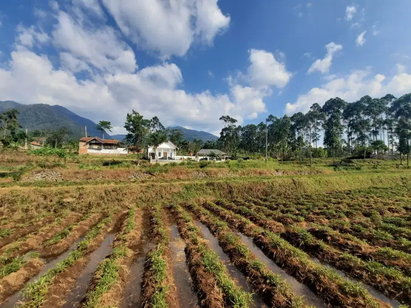 Dijual Cepat Rumah villa dikawasan wisata taman Bougenville.