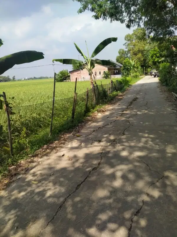 Dijual Tanah sawah lokasi incaran developer di Karawang barat