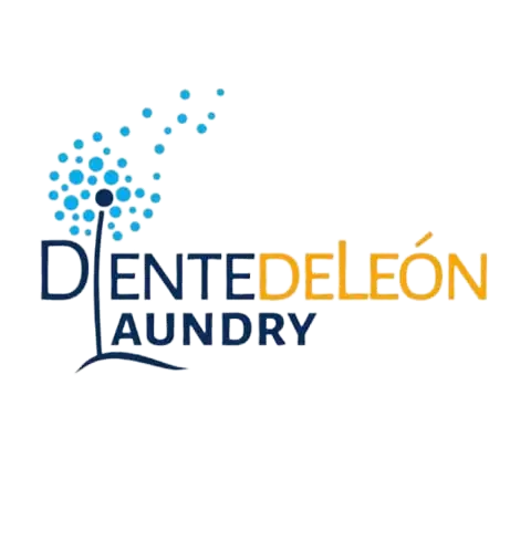 Lowongan Cuci Gosok Diente De Leon Laundry