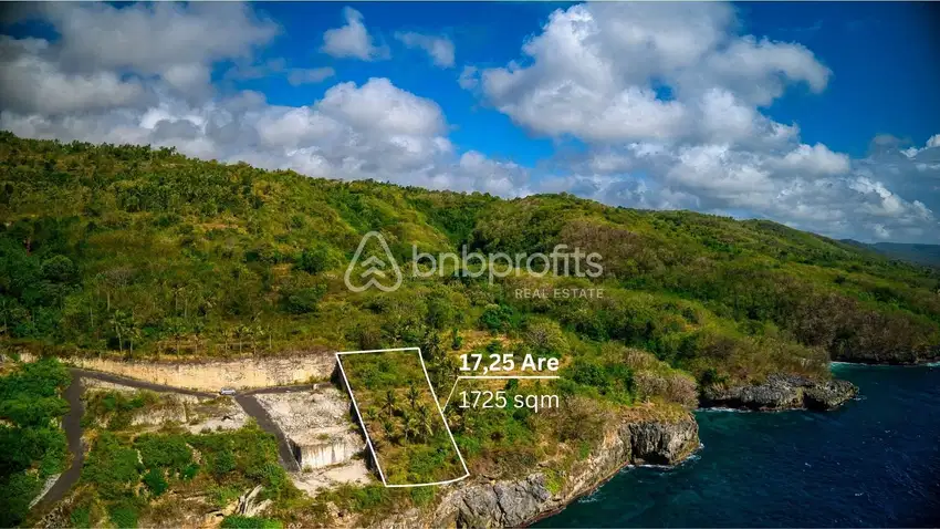 Tanah SHM di Depan Tebing Pemandangan Laut di Nusa Penida BSLF203