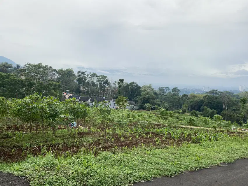 Di Jual Tanah Murah Cikuda Jatinangor