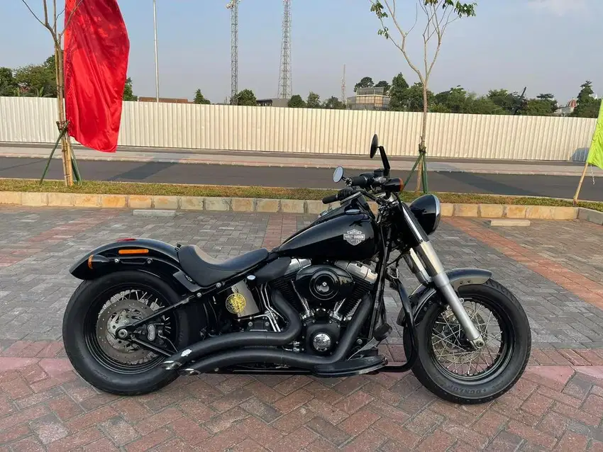 SOFTAIL SLIM 2014 FULL PAPER