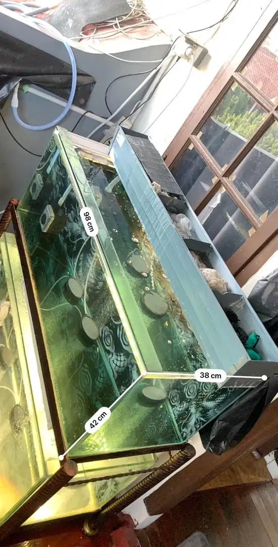 Aquarium cantik set atas bawah tinggal pakai