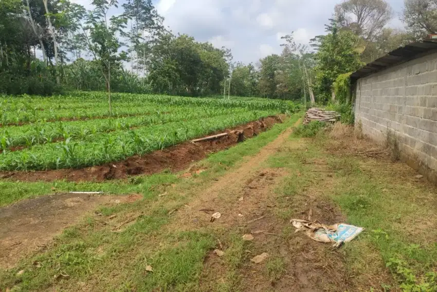 Tanah Murah 3000 m2 Karanganyar